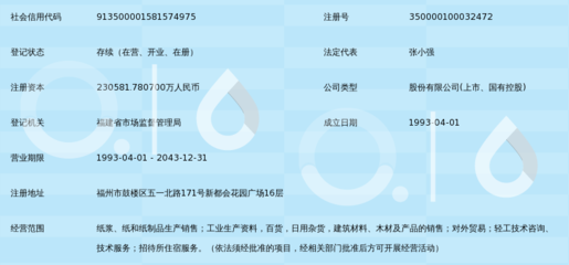福建省青山纸业股份有限公司 纸制品销售的战略布局与市场竞争力分析